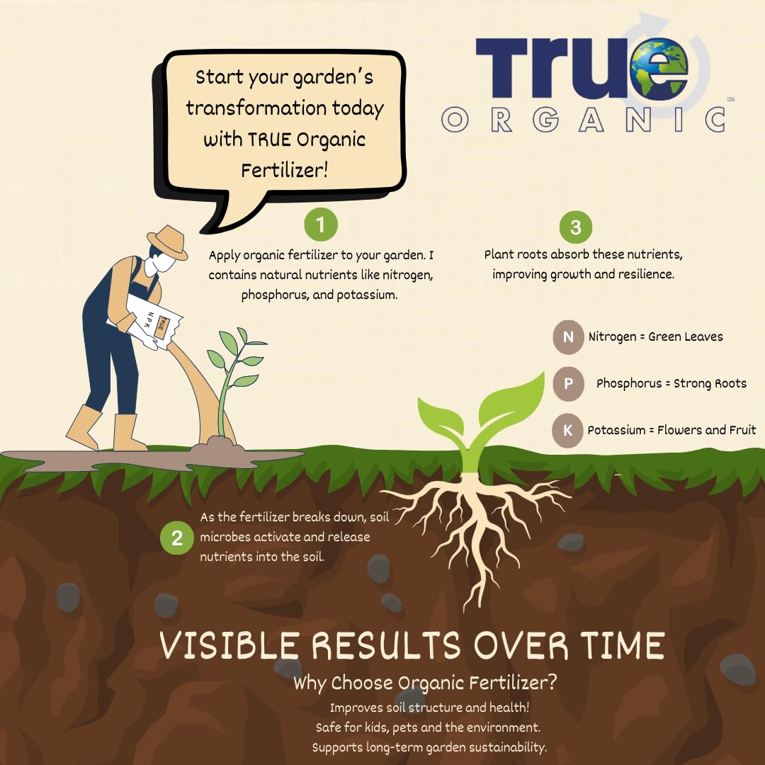 True Organic Worm Castings applied to seedling transplant promoting strong roots.