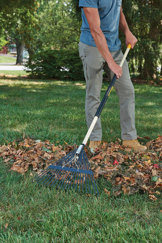 True Temper rake in garden demonstrates broad coverage for leaves and debris