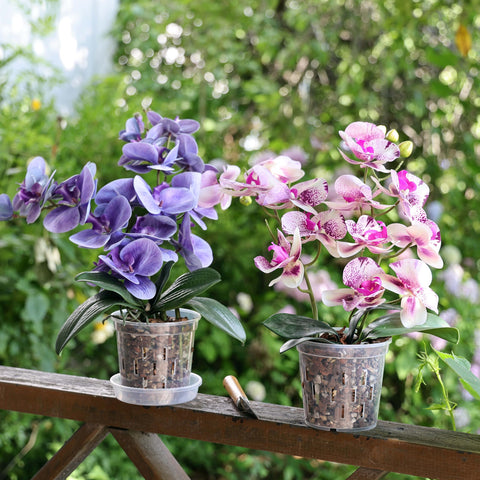 TRUEDAYS 4-inch orchid pot set ideal for repotting tasks.