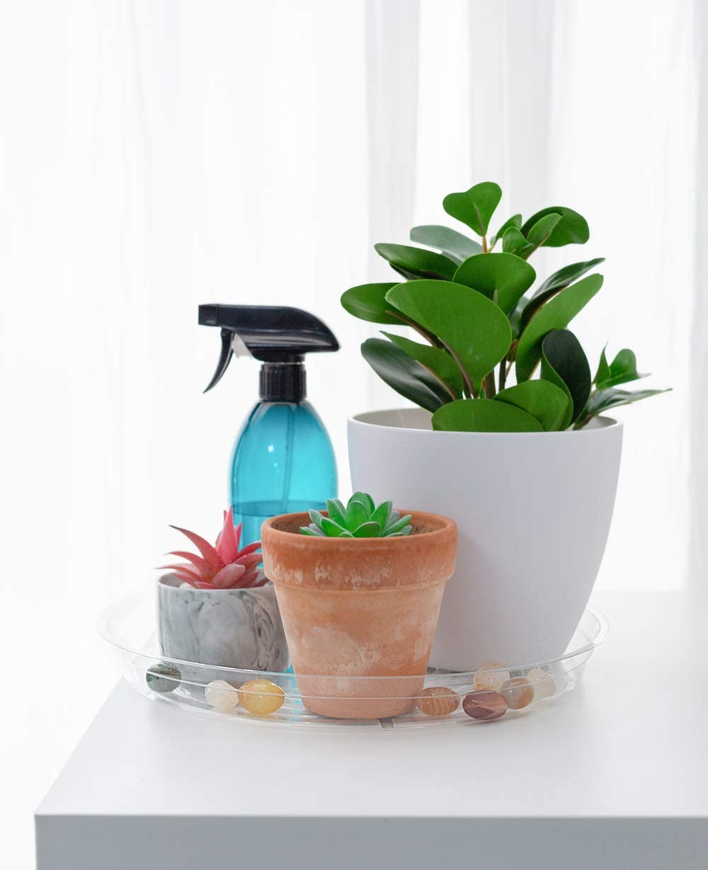 TRUEDAYS 5 pack clear saucers under pots help contain spills