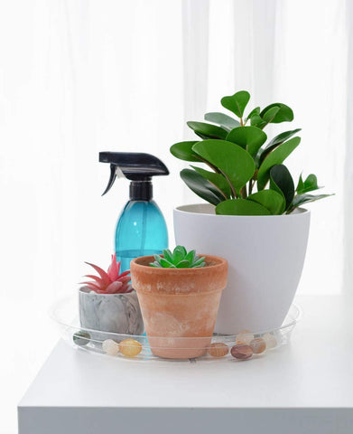 TRUEDAYS 5 pack clear saucers under pots help contain spills