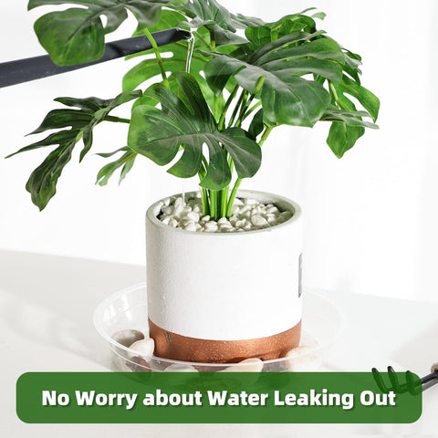 TRUEDAYS clear 10in plant saucer supports larger pots and tidy drainage