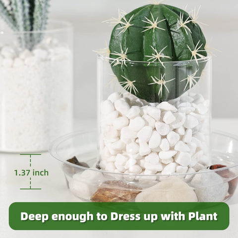 TRUEDAYS clear 12in plant saucers protect surfaces and enhance display