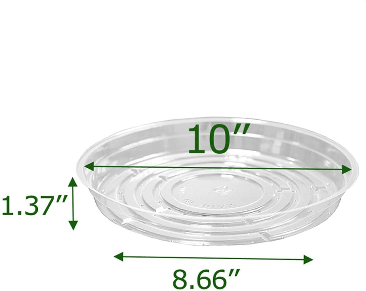 TRUEDAYS clear saucer edge close up for easy pot placement.