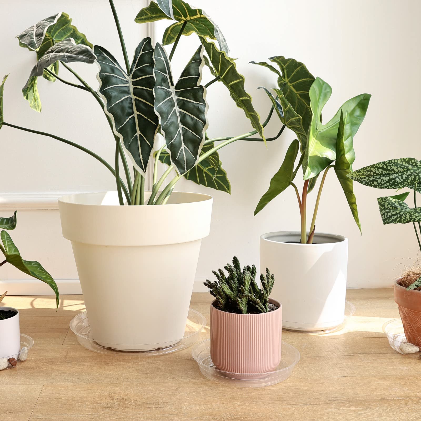TRUEDAYS clear saucers with decorative rocks boost home decor