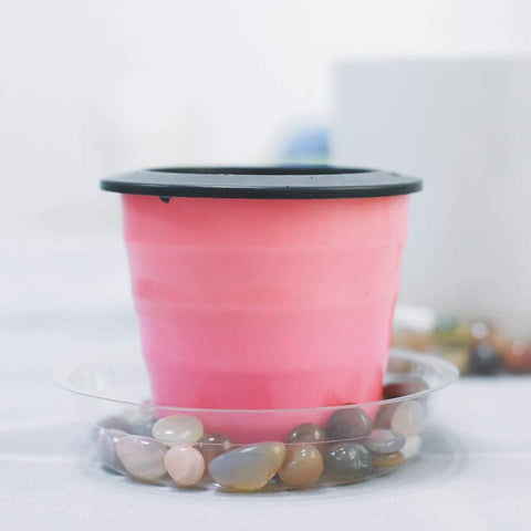 TRUEDAYS five pack clear plant saucers shown under several pots.