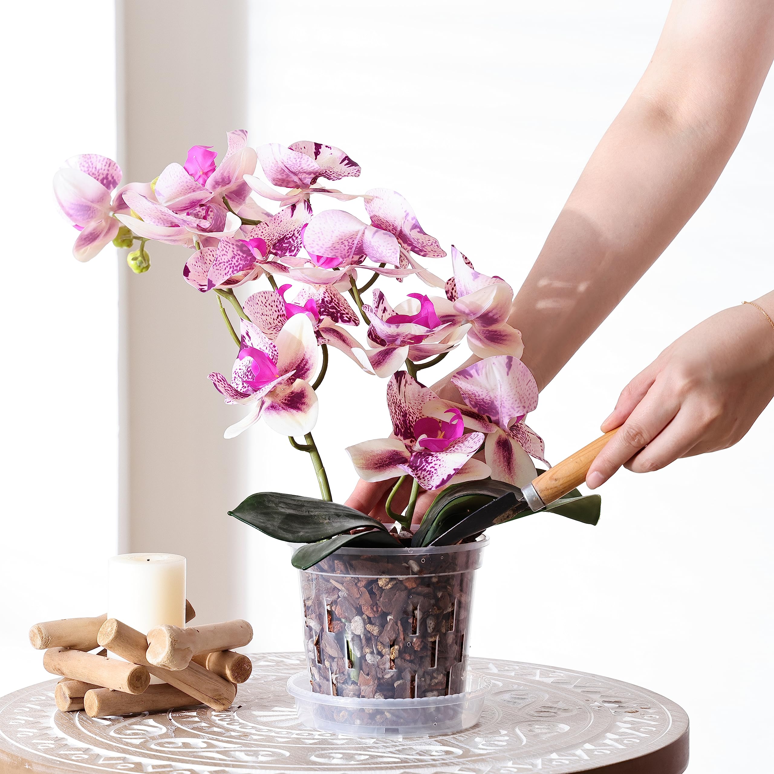 TRUEDAYS liner for decorative ceramic pot using orchid pot as liner.