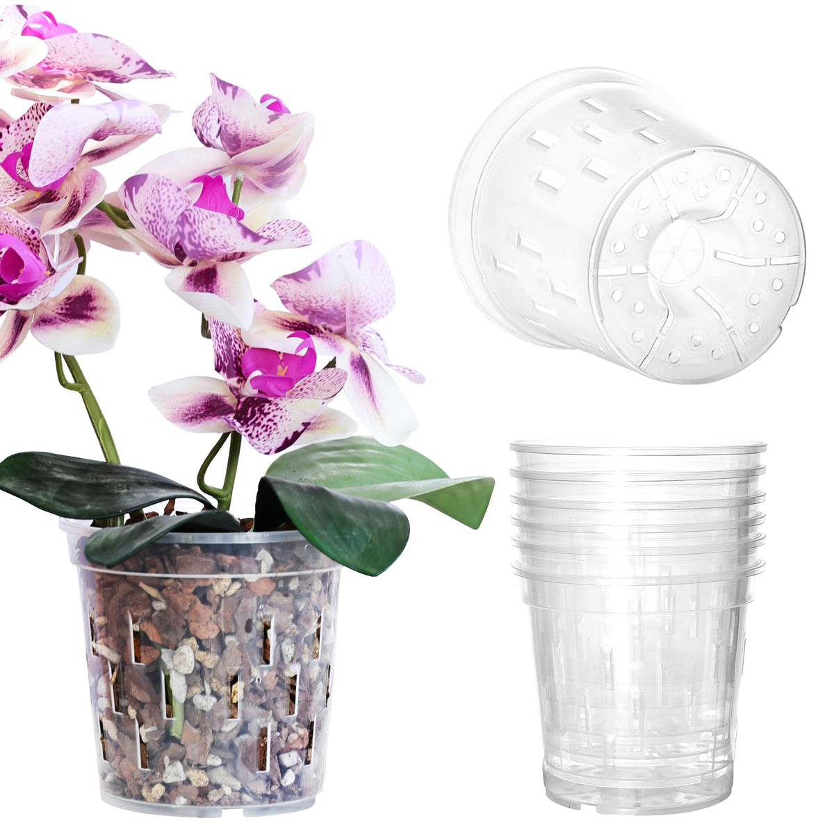 TRUEDAYS Orchid Pot 4-inch clear with drainage holes for healthy root growth