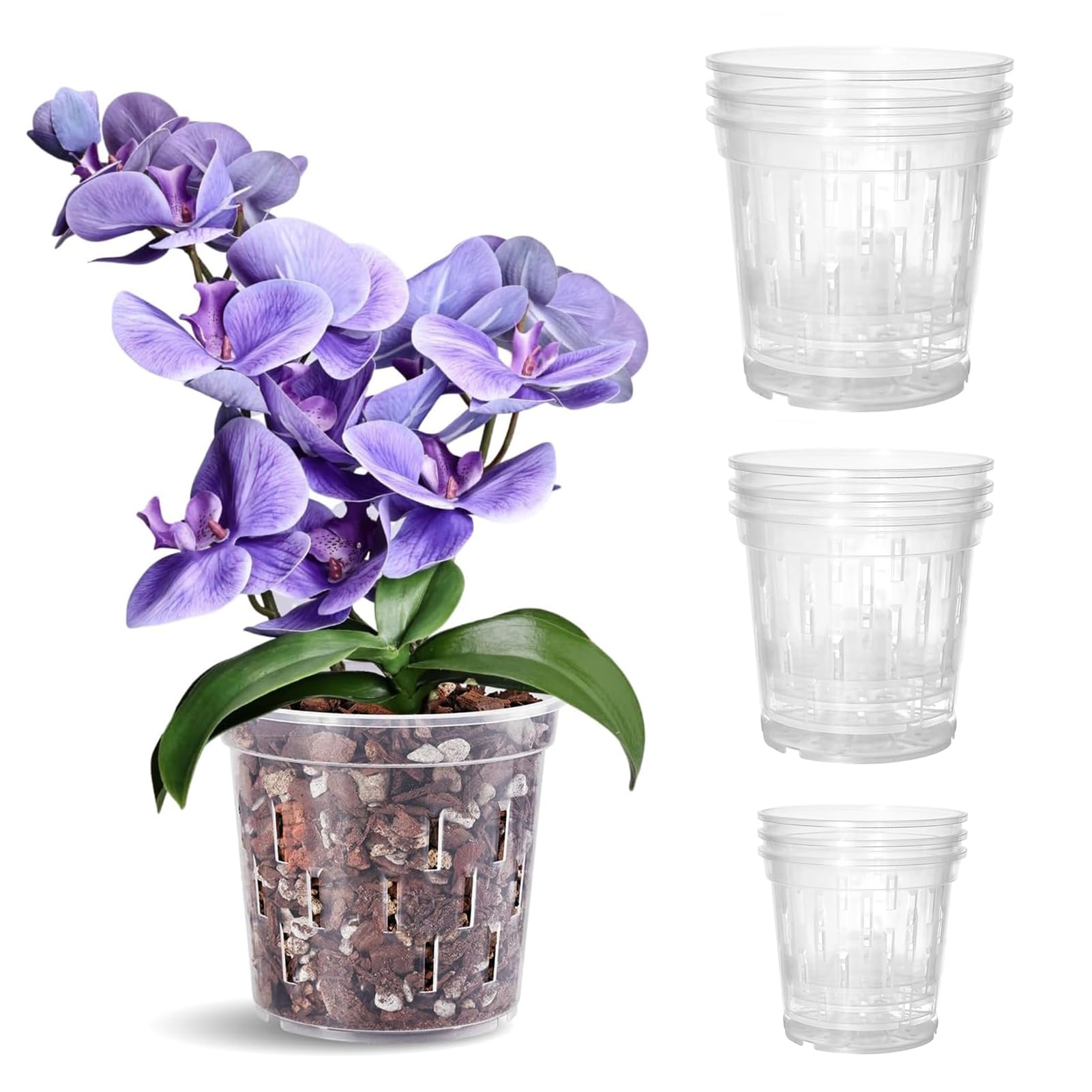 TRUEDAYS orchid pot 4-inch with drainage holes supports healthy root growth.