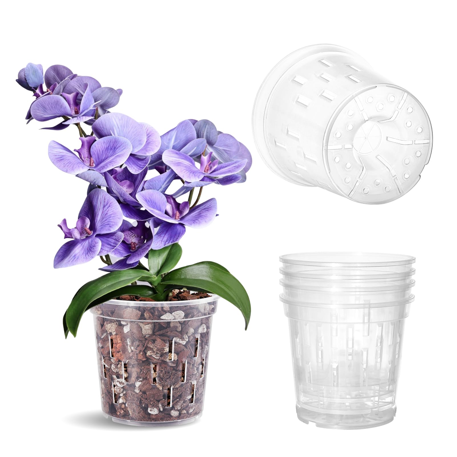 TRUEDAYS Orchid Pot 4-pack with clear walls for easy root observation and watering decisions.