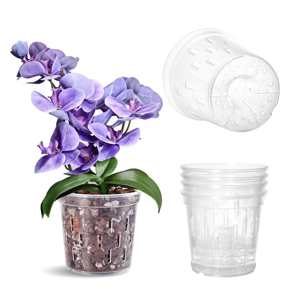 TRUEDAYS Orchid Pot 4-pack with clear walls for easy root observation and watering decisions.