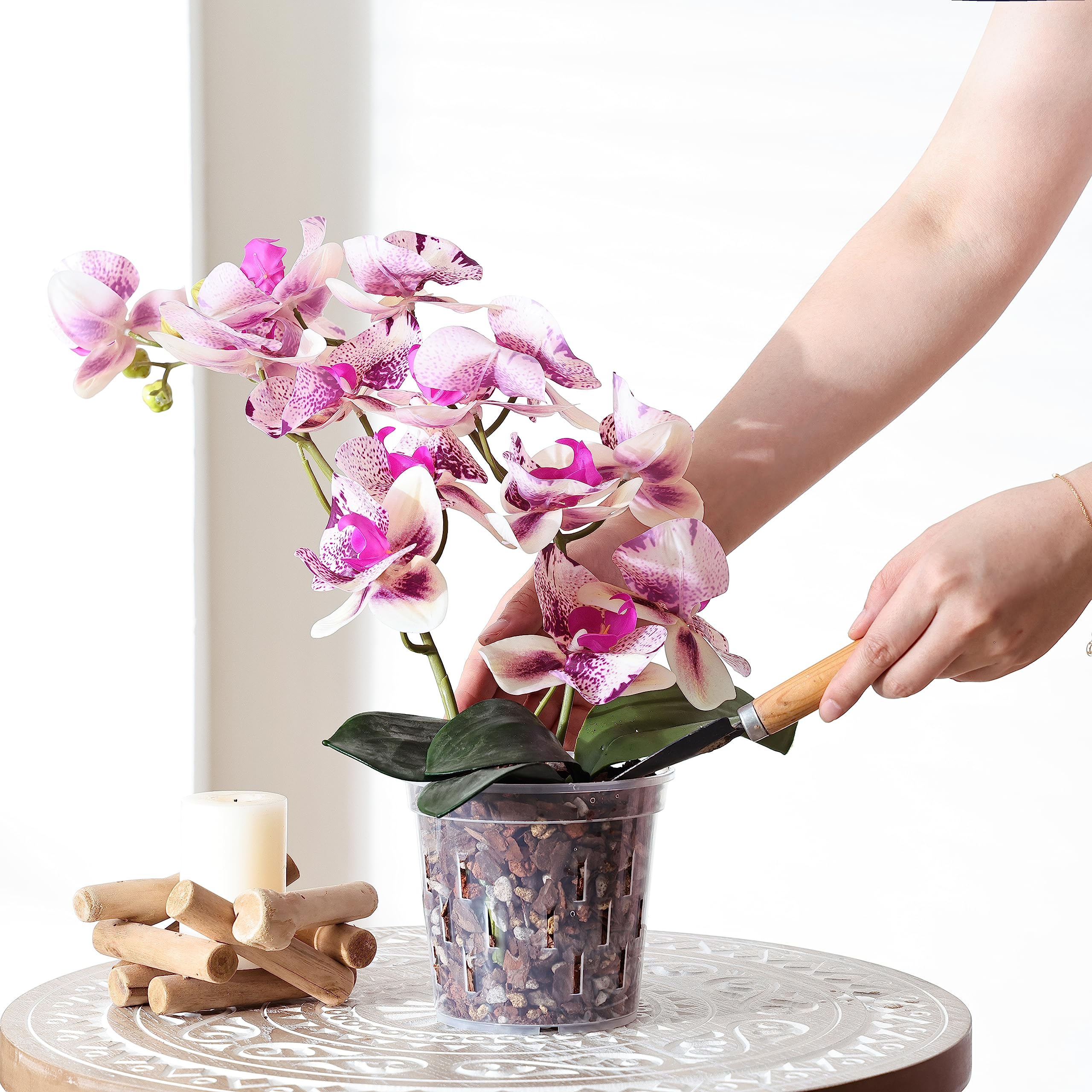 TRUEDAYS Orchid Pot liners shown fitting decorative ceramic planters for a neat look.