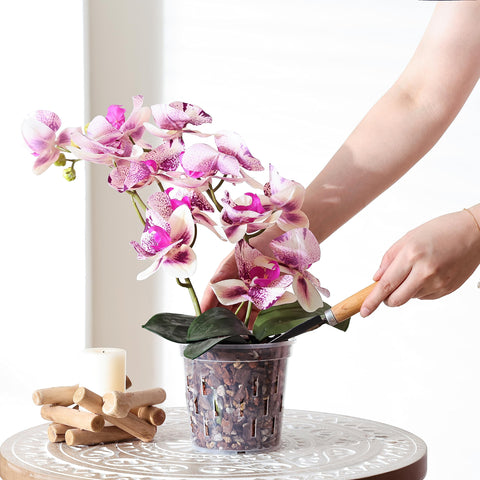 TRUEDAYS Orchid Pot liners shown fitting decorative ceramic planters for a neat look.