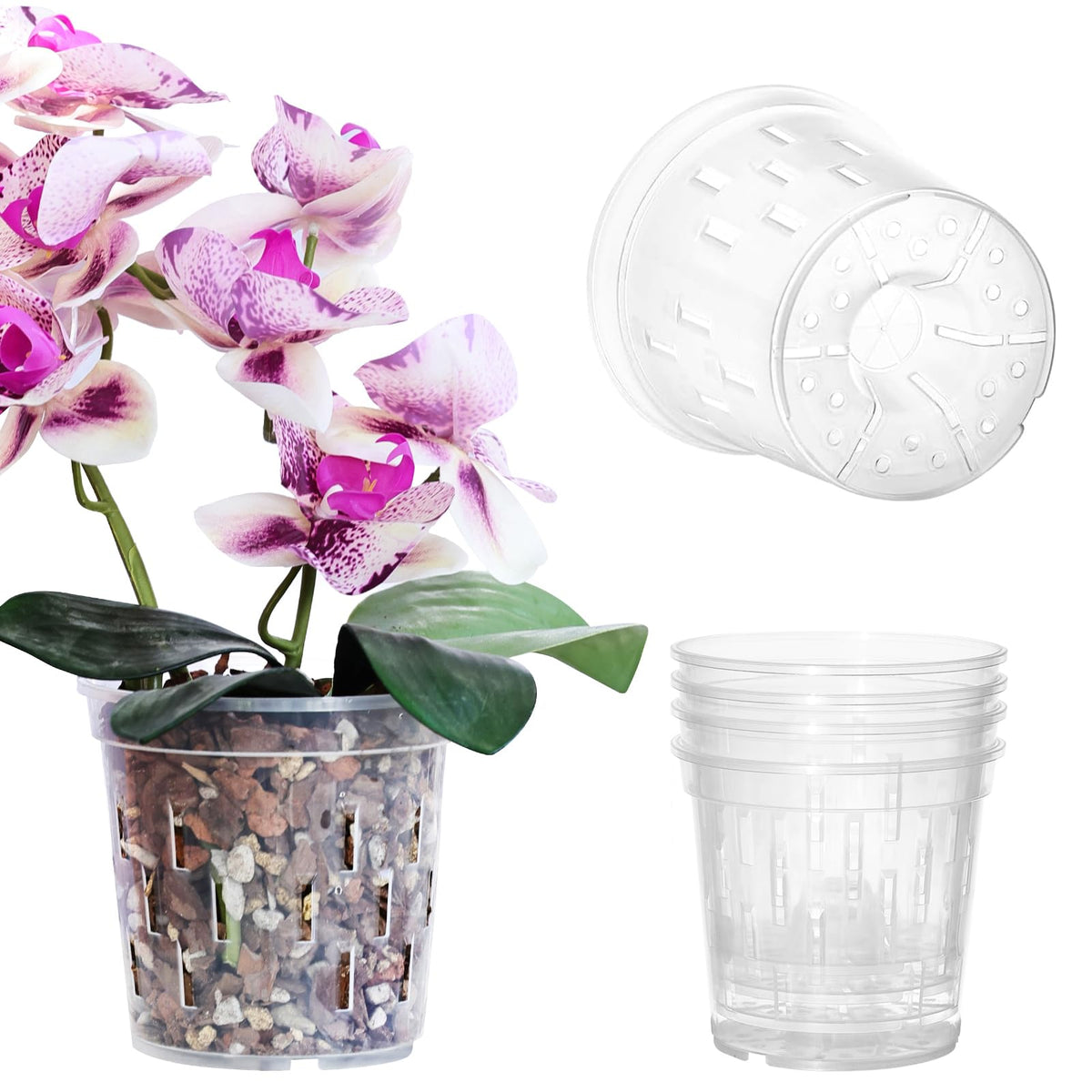 TRUEDAYS orchid pot 4-inch clear with holes for enhanced drainage and airflow.