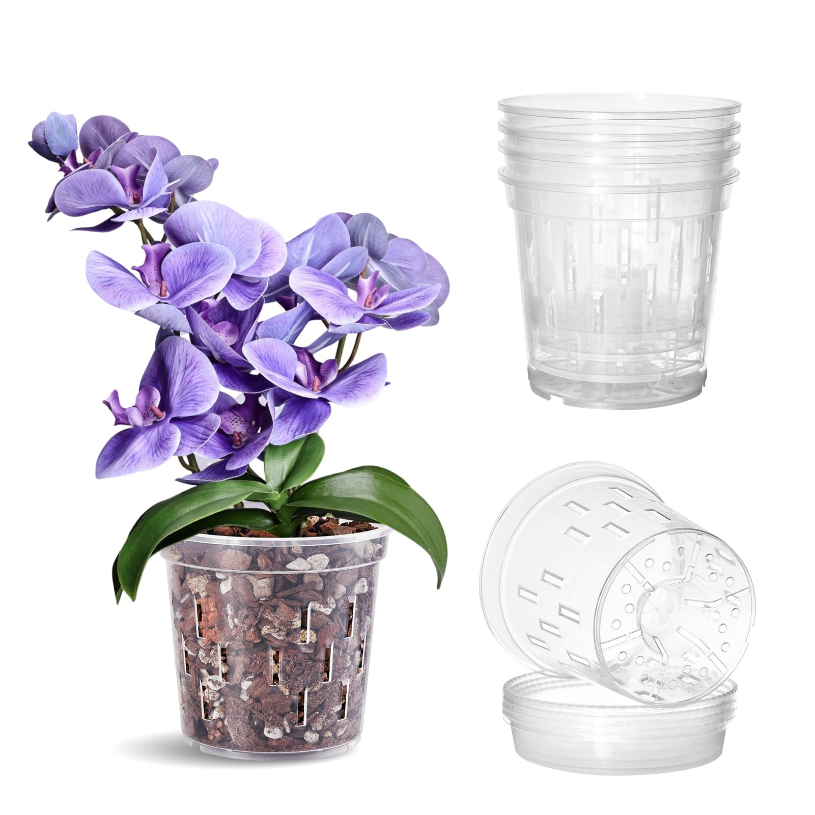 TRUEDAYS Orchid Pot 5-inch clear with saucer for easy moisture monitoring and drainage