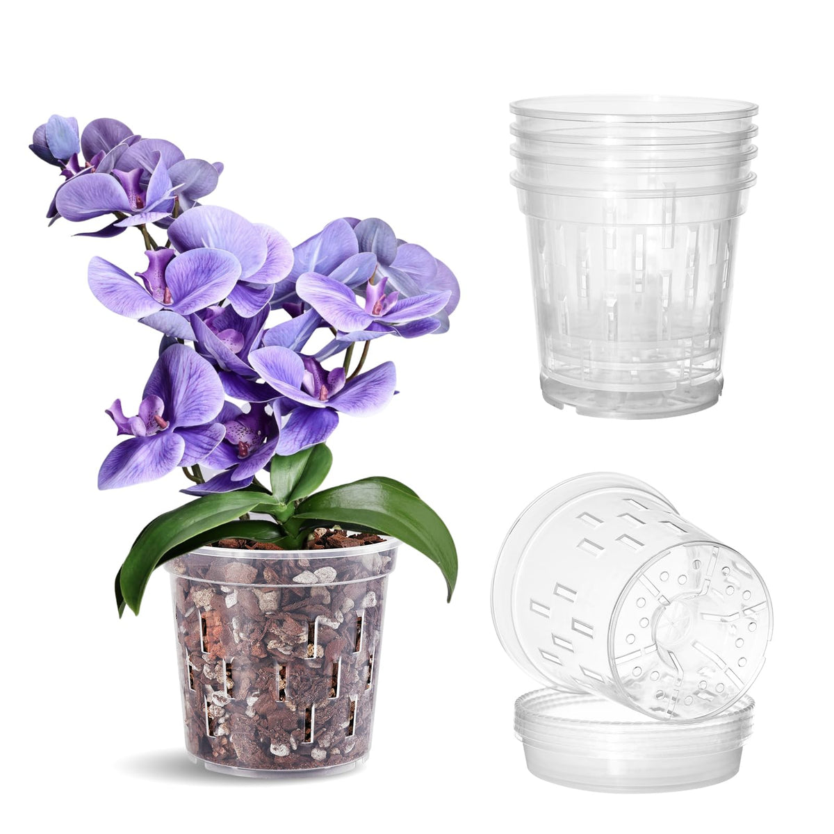 TRUEDAYS Orchid Pot 5-inch clear with saucer for easy moisture monitoring and drainage