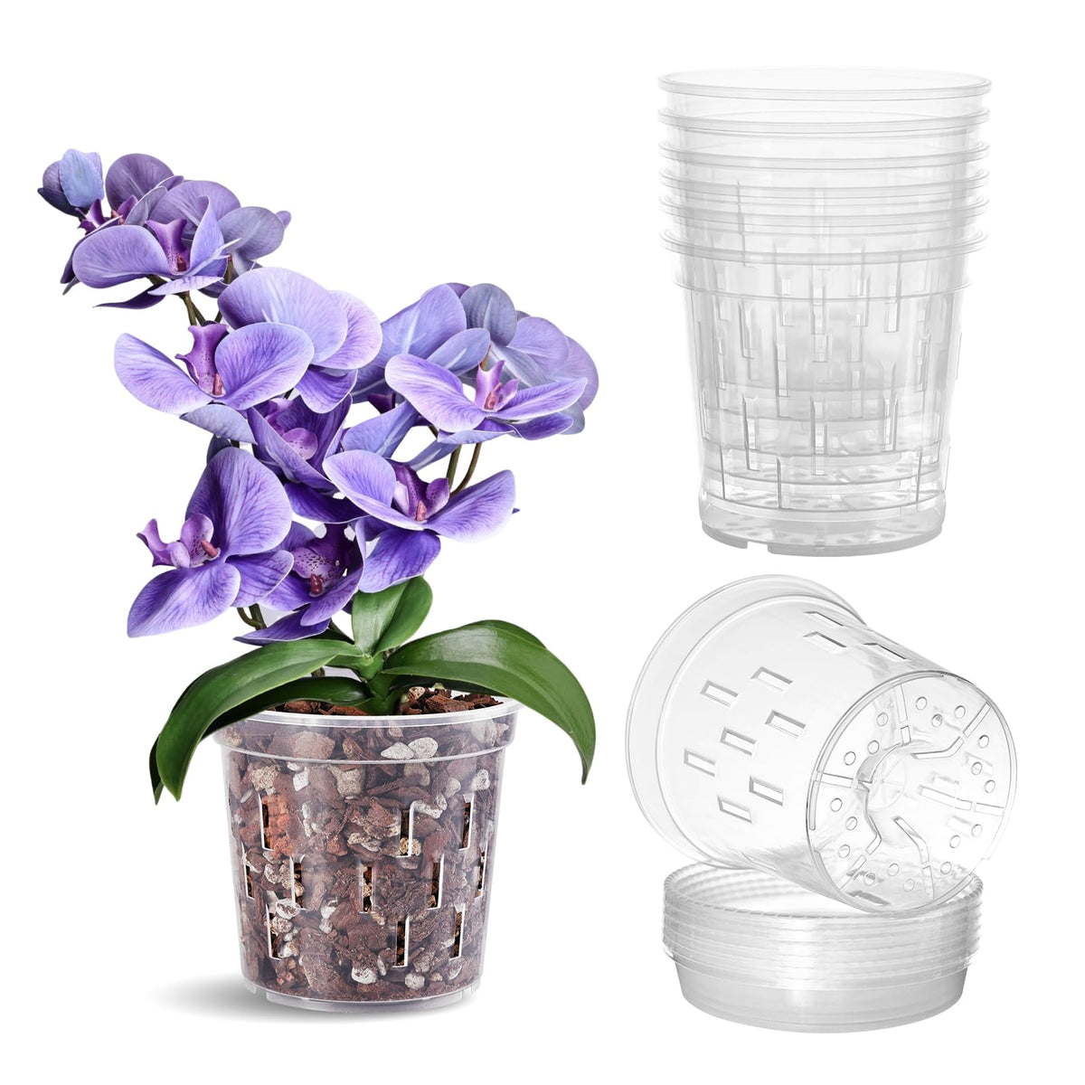 TRUEDAYS Orchid Pot 5-inch clear with saucer shows roots for healthy observation.