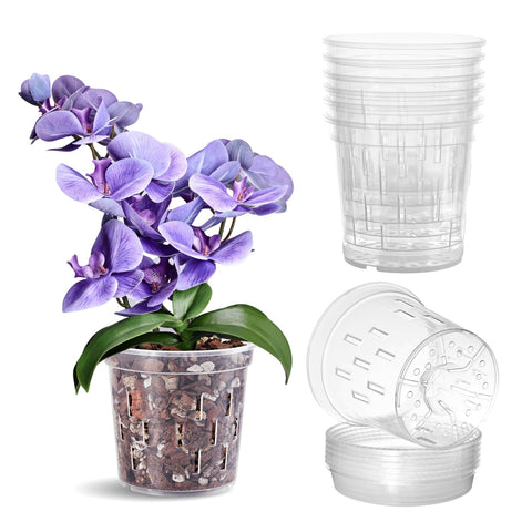 TRUEDAYS Orchid Pot 5-inch clear with saucer shows roots for healthy observation.
