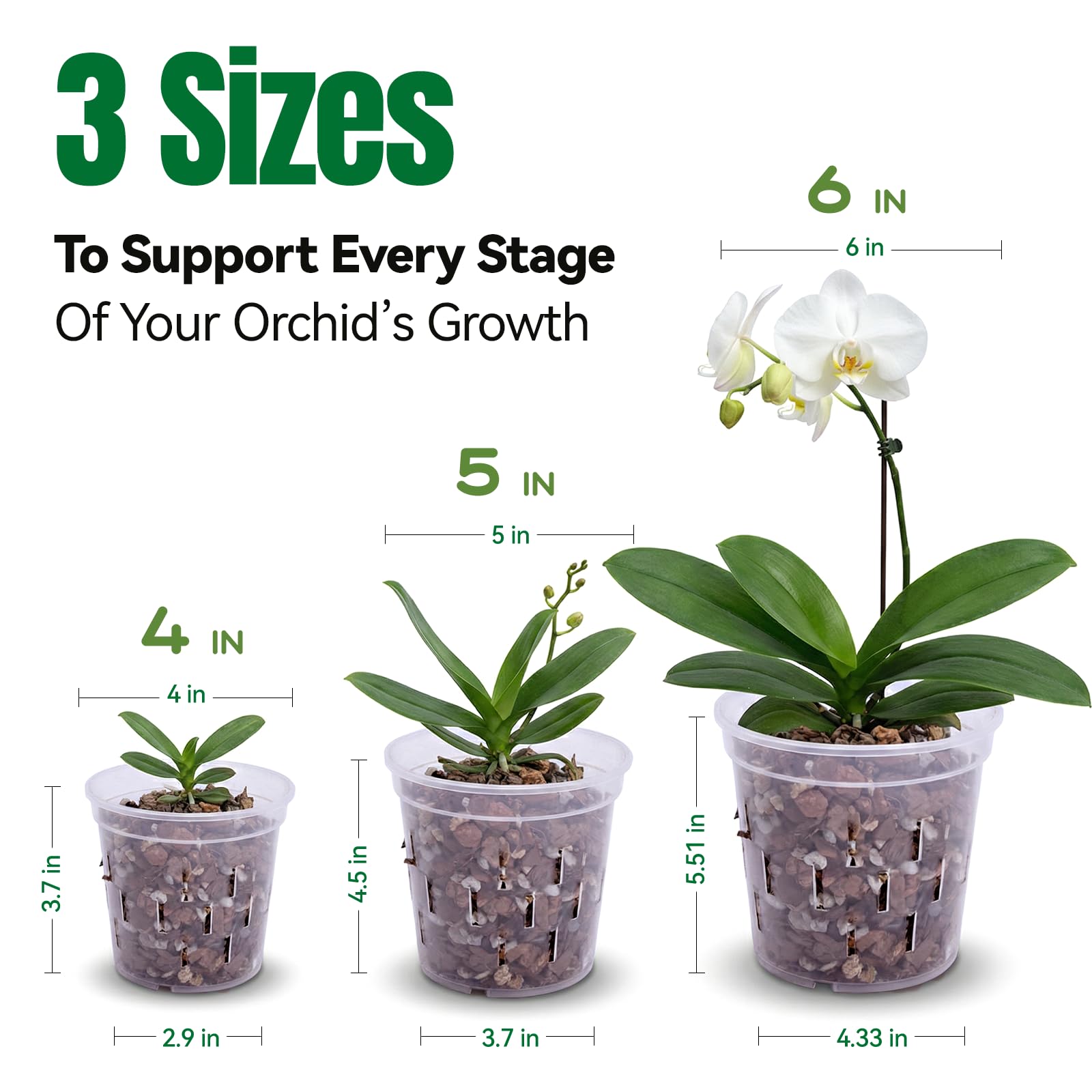 TRUEDAYS orchid pot 6-inch with transparent body aids watering control.