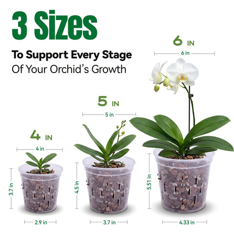 TRUEDAYS orchid pot 6-inch with transparent body aids watering control.