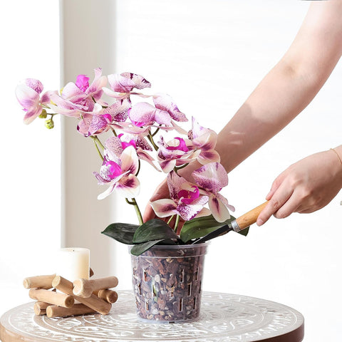 TRUEDAYS orchid pot highlights drainage holes for better water management.
