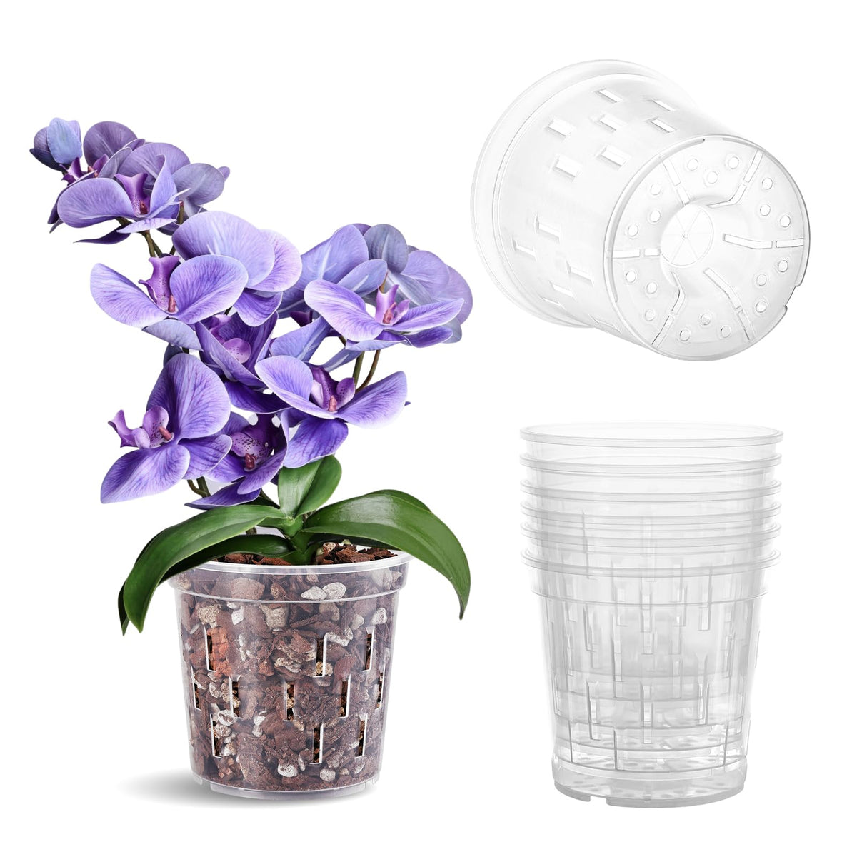TRUEDAYS Orchid Pot clear 6-inch view for root inspection