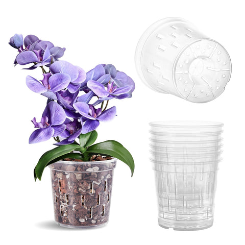 TRUEDAYS Orchid Pot clear 6-inch view for root inspection