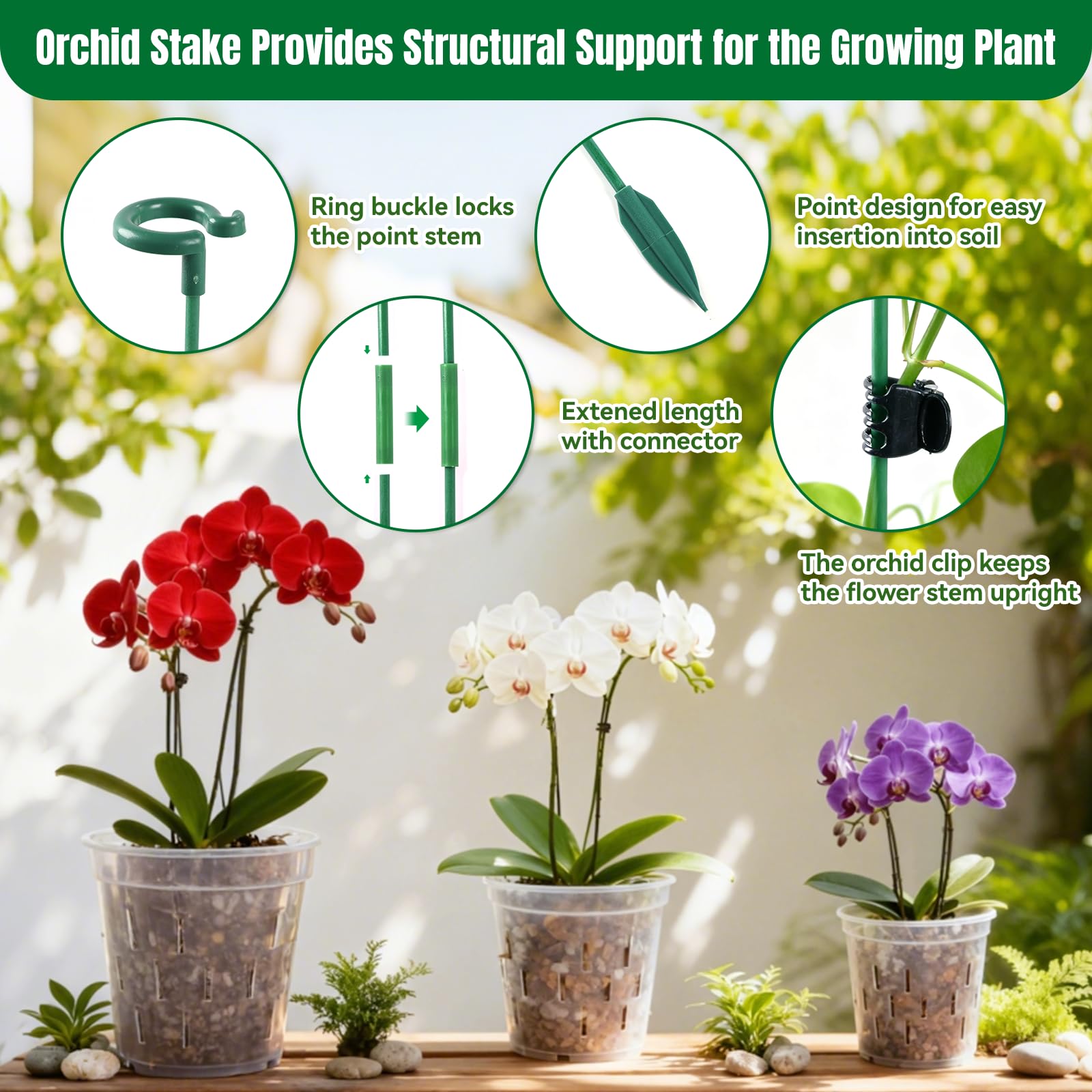 TRUEDAYS orchid pot with clear walls makes root observation easy.