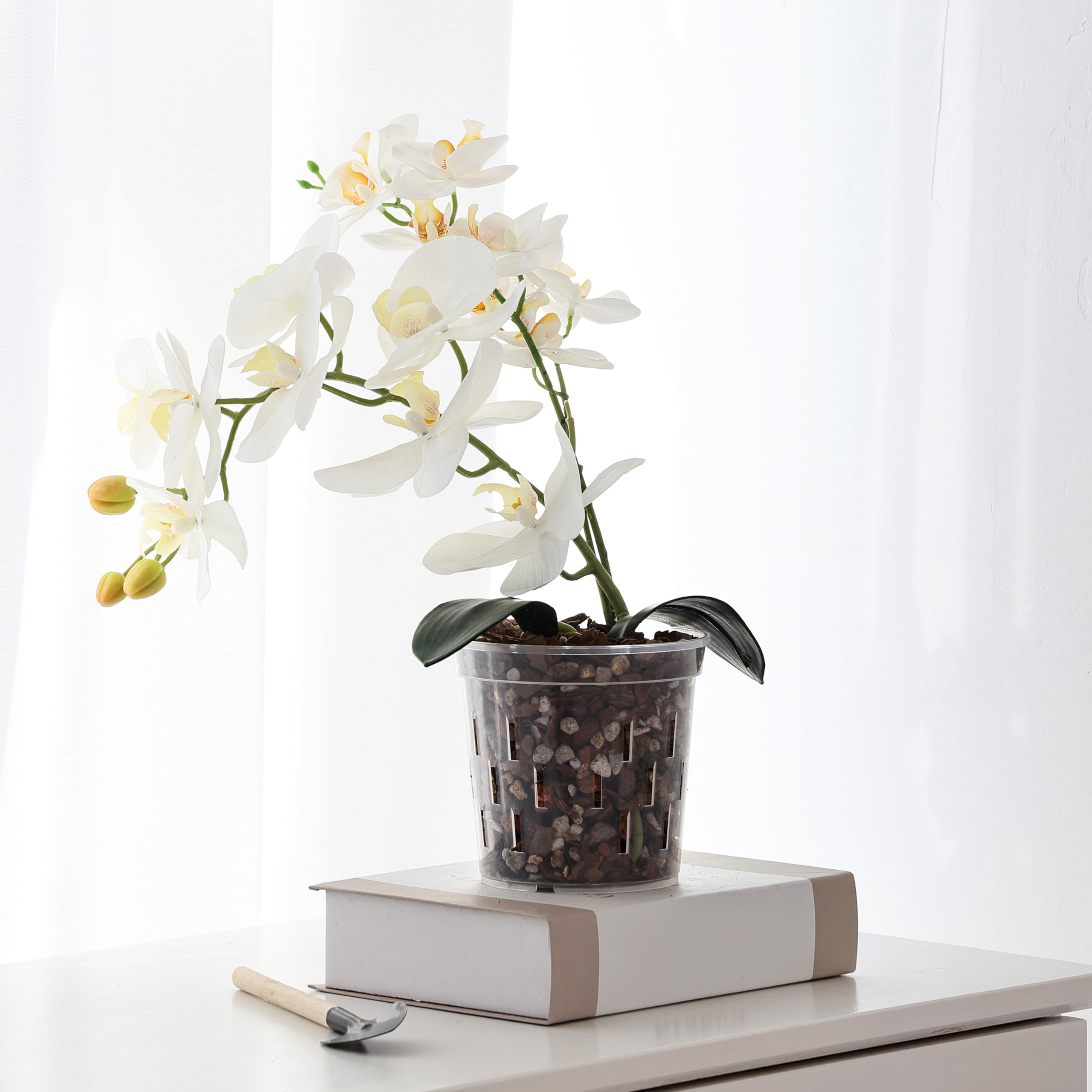 TRUEDAYS Orchid Pot clear view shows root growth at a glance