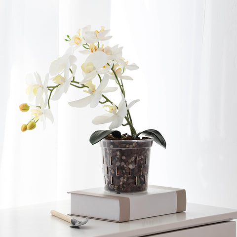 TRUEDAYS Orchid Pot durable PP material for long-term reuse