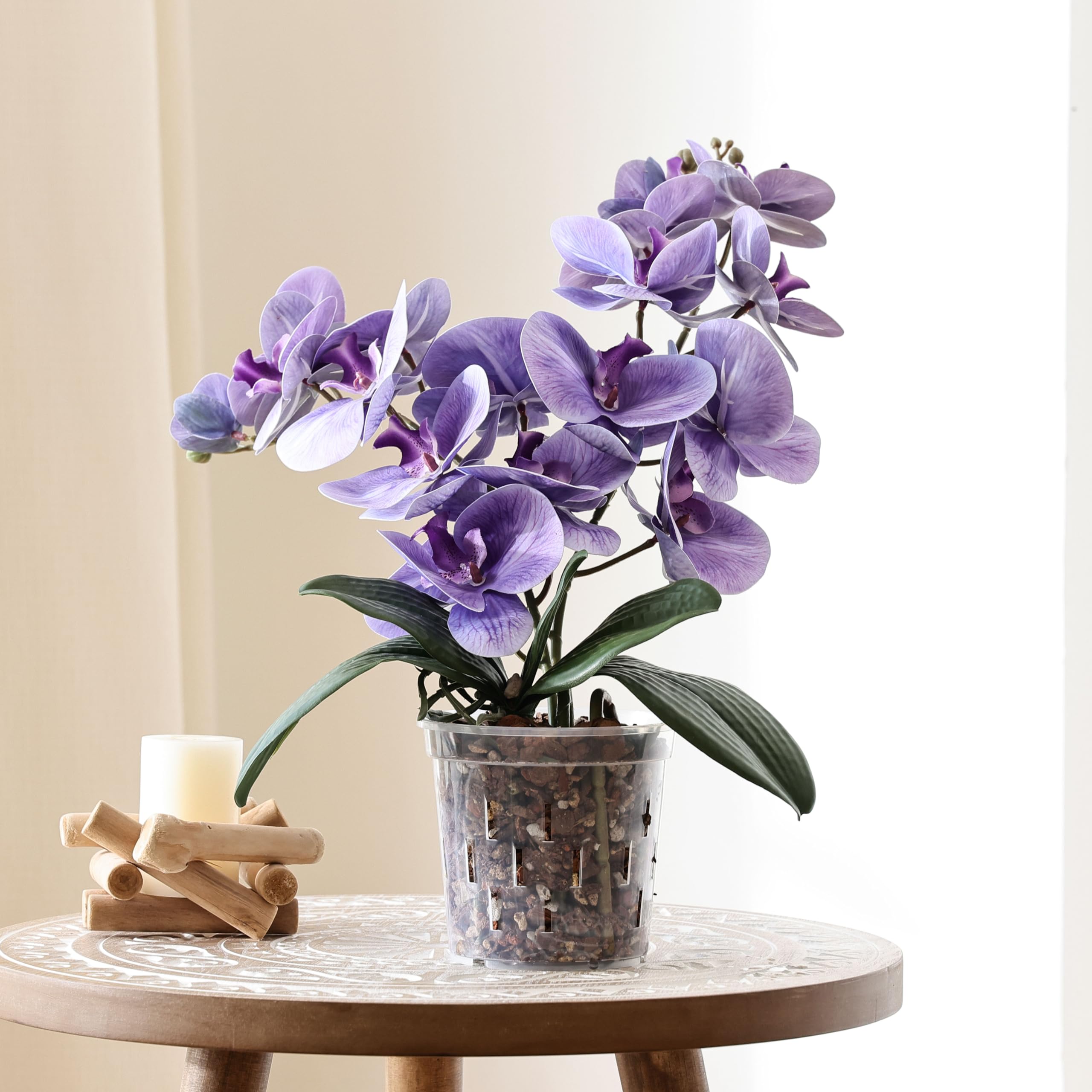TRUEDAYS Orchid Pot easy repotting with holes