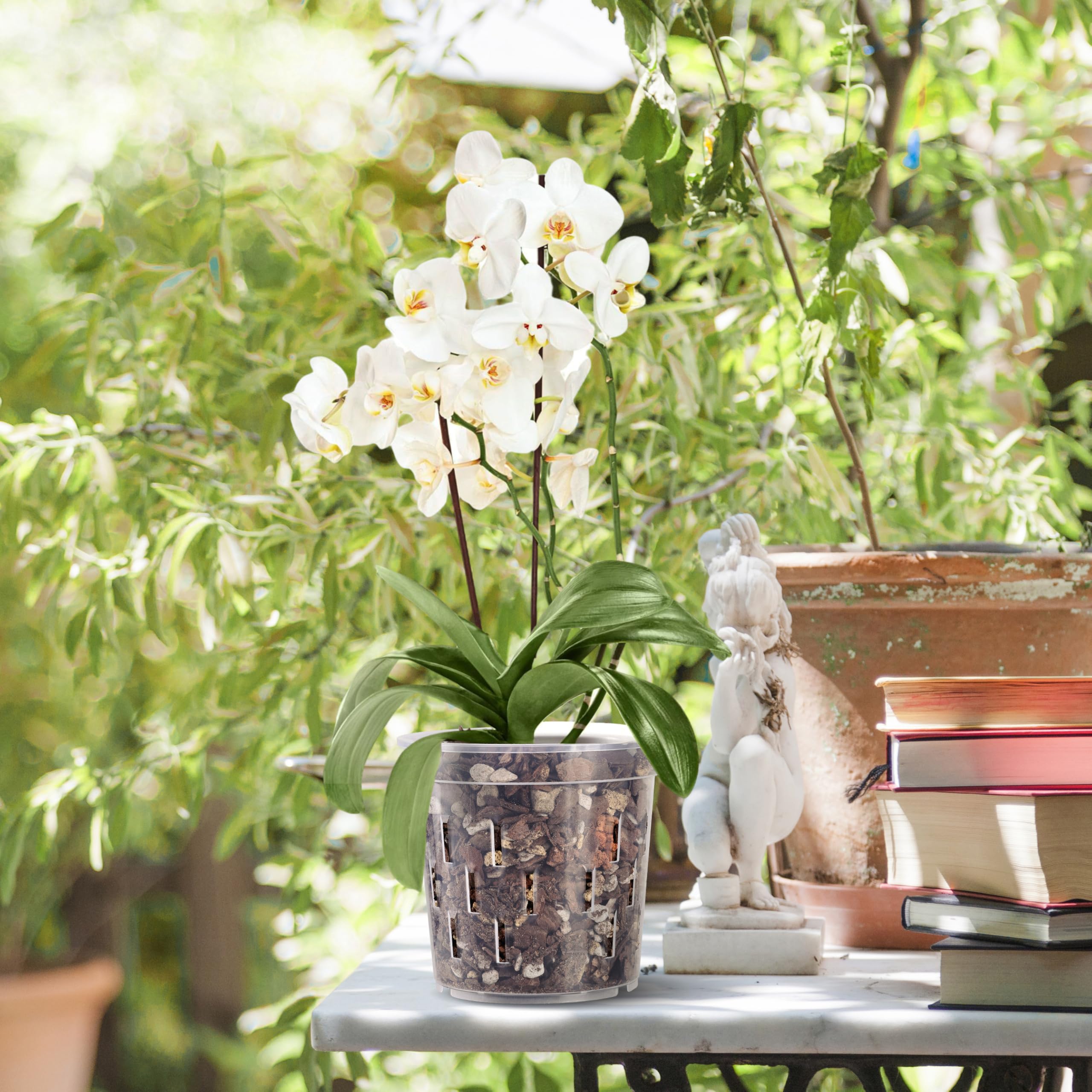 truedays orchid pot compact 6 inch size fits shelves and windowsills.