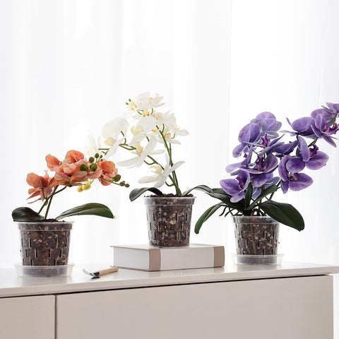 TRUEDAYS orchid pot designed for indoor-outdoor use on balconies.