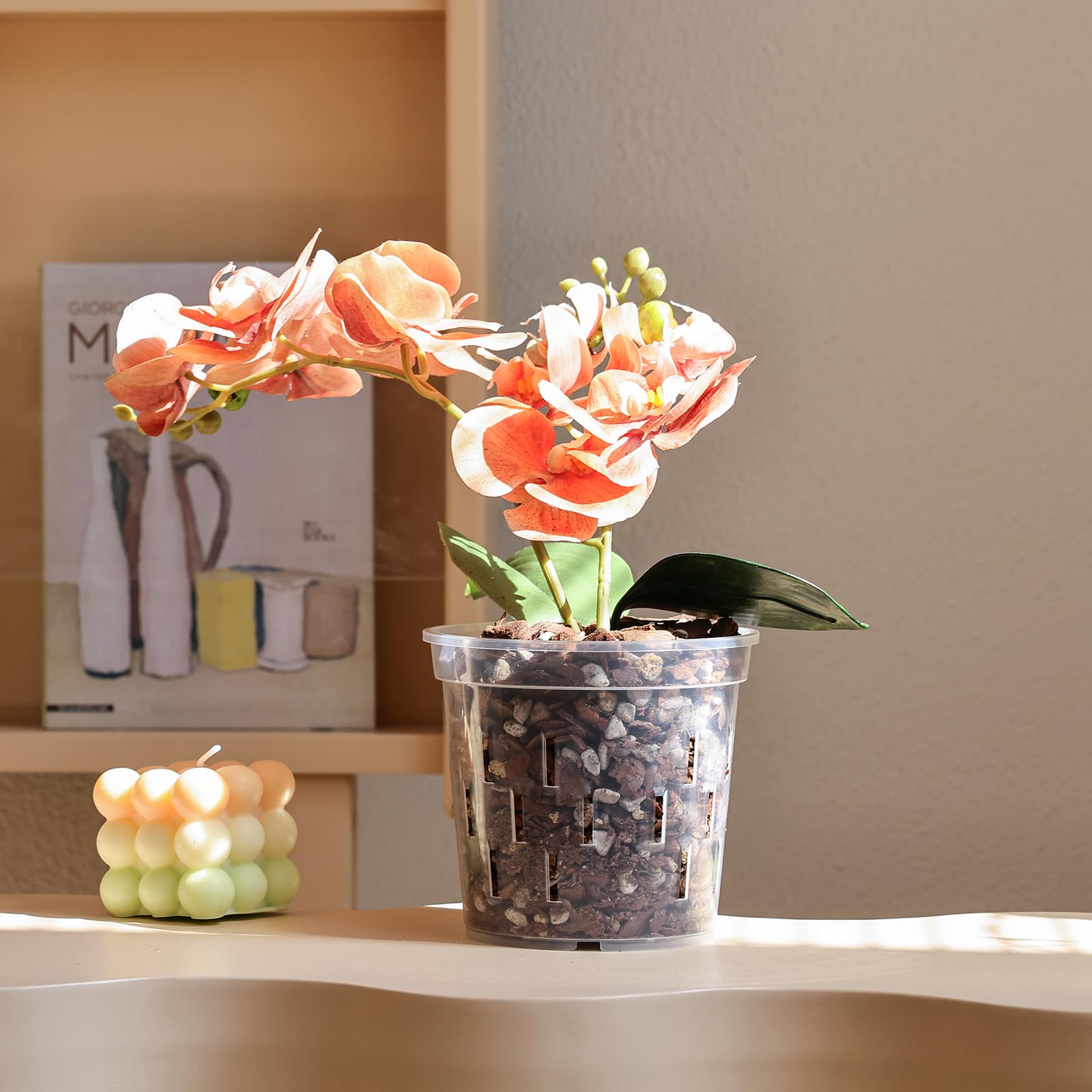 TRUEDAYS Orchid Pot on a window sill showcasing compact, space-saving design.