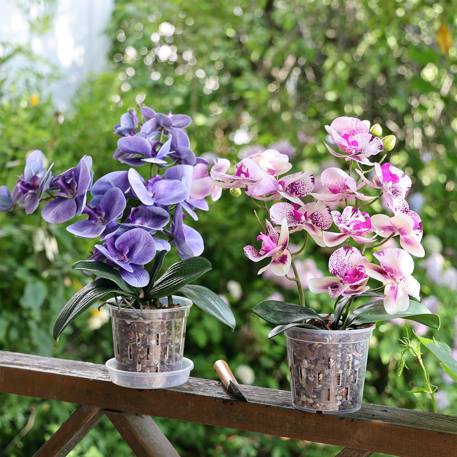 TRUEDAYS Orchid Pot sturdy plastic construction supports easy repotting