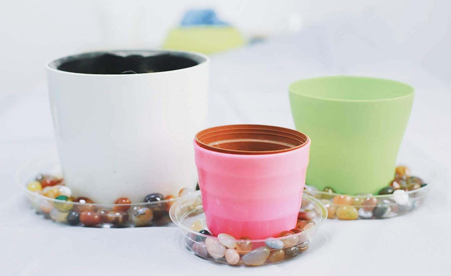 TRUEDAYS rock ready saucer with decorative stones option for styling.