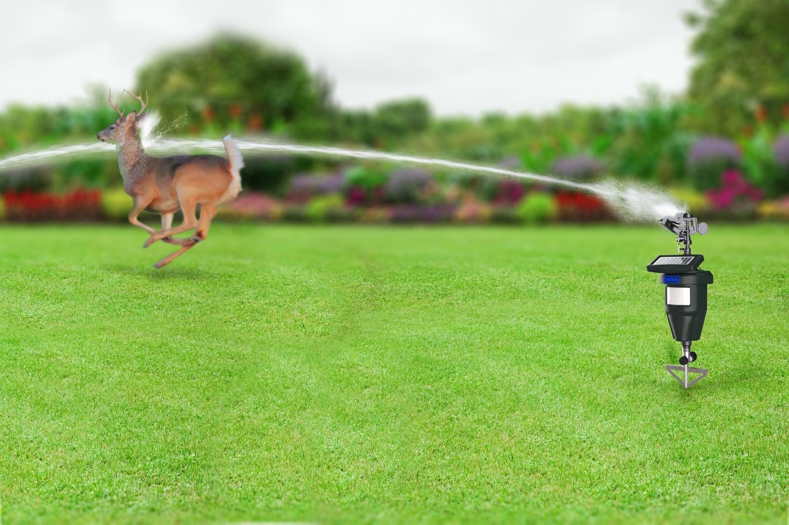 TRURID rotating-yard-sprinkler provides wide lawn coverage.