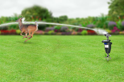 TRURID rotating-yard-sprinkler provides wide lawn coverage.