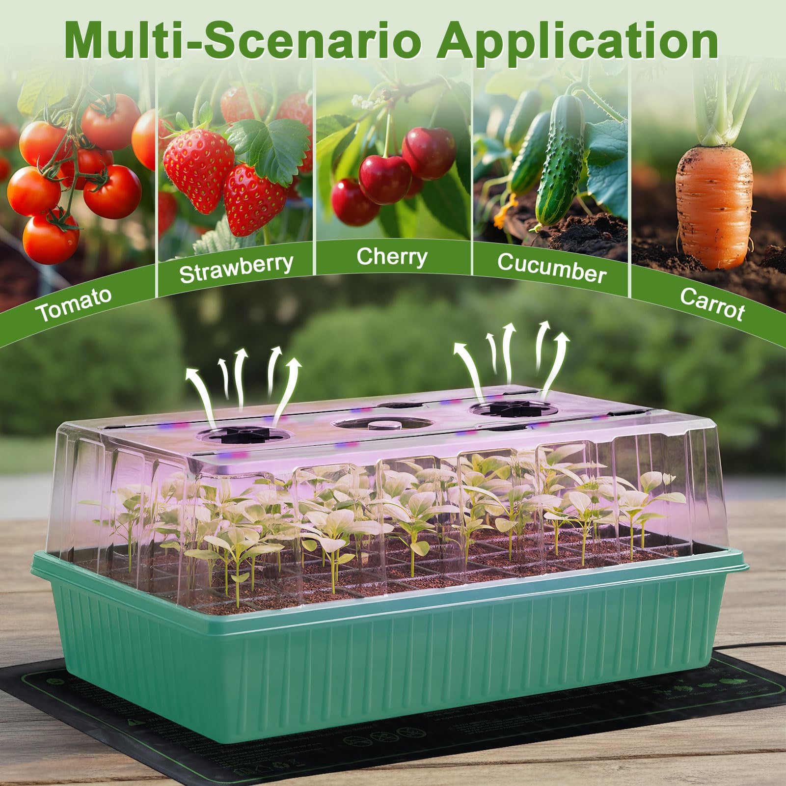 Tryitsbest indoor greenhouse creates friendly growth conditions for flowers, vegetables, and herbs.