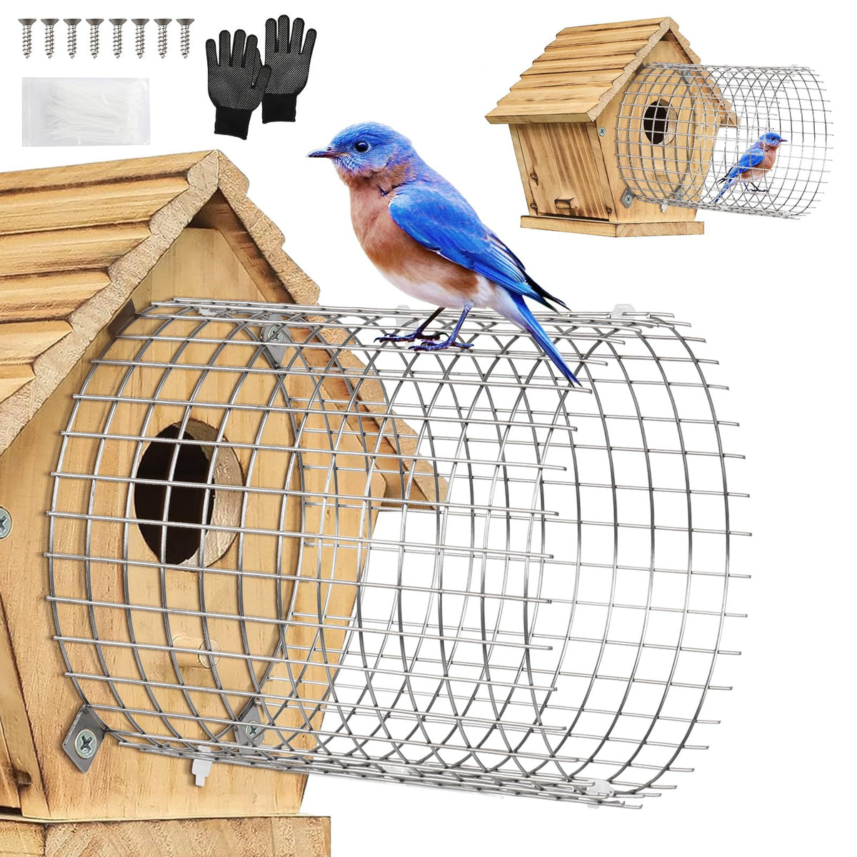 Tryly bluebird house protector guards at round entrance, helping birds nest securely this season.