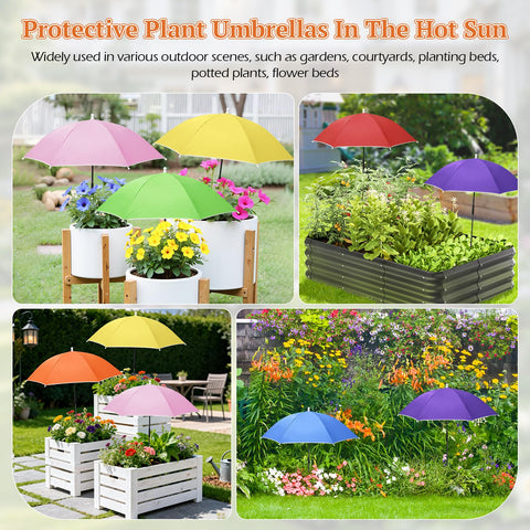 Tryly cool refuge for plants provides shaded microclimate