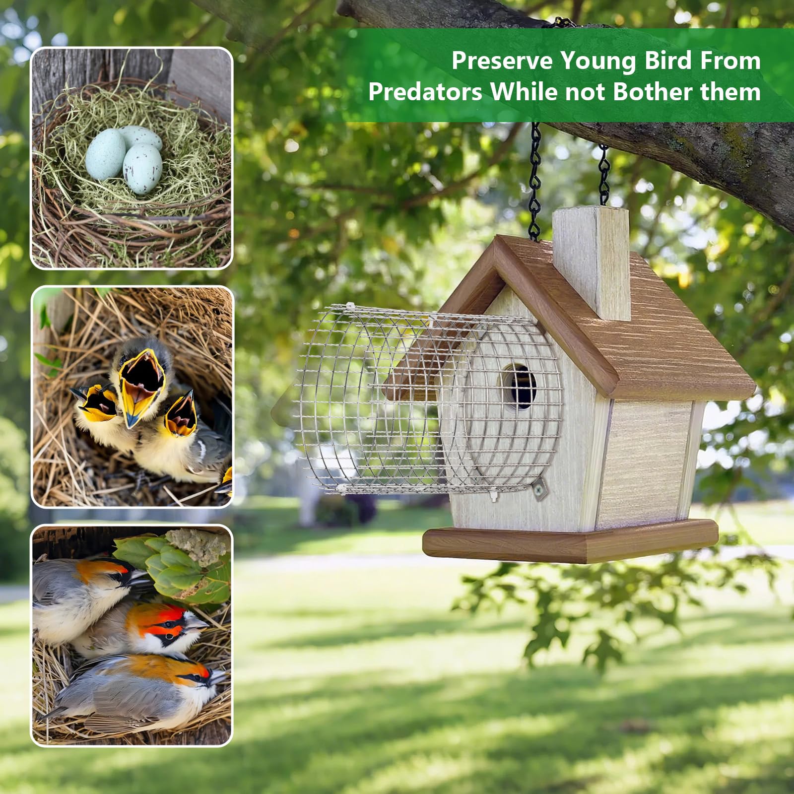 Tryly weather-durable stainless steel protector keeps nesting sites protected through rain and sun.