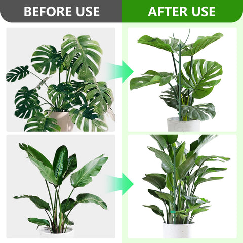 Trzzyan durable green stakes resist weather for climbing plants outdoors.