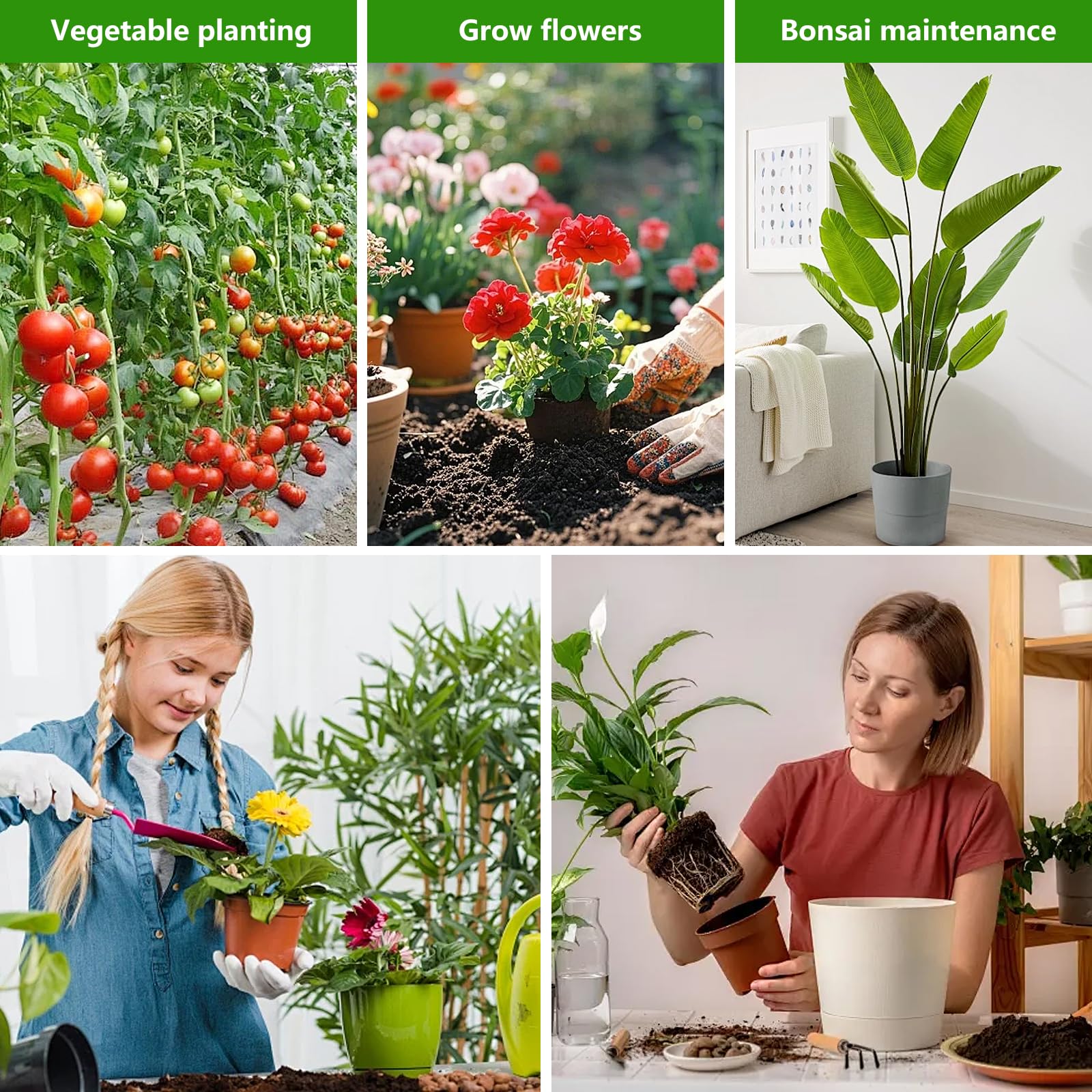 Trzzyan easy-install plant support suitable for indoor and outdoor use.
