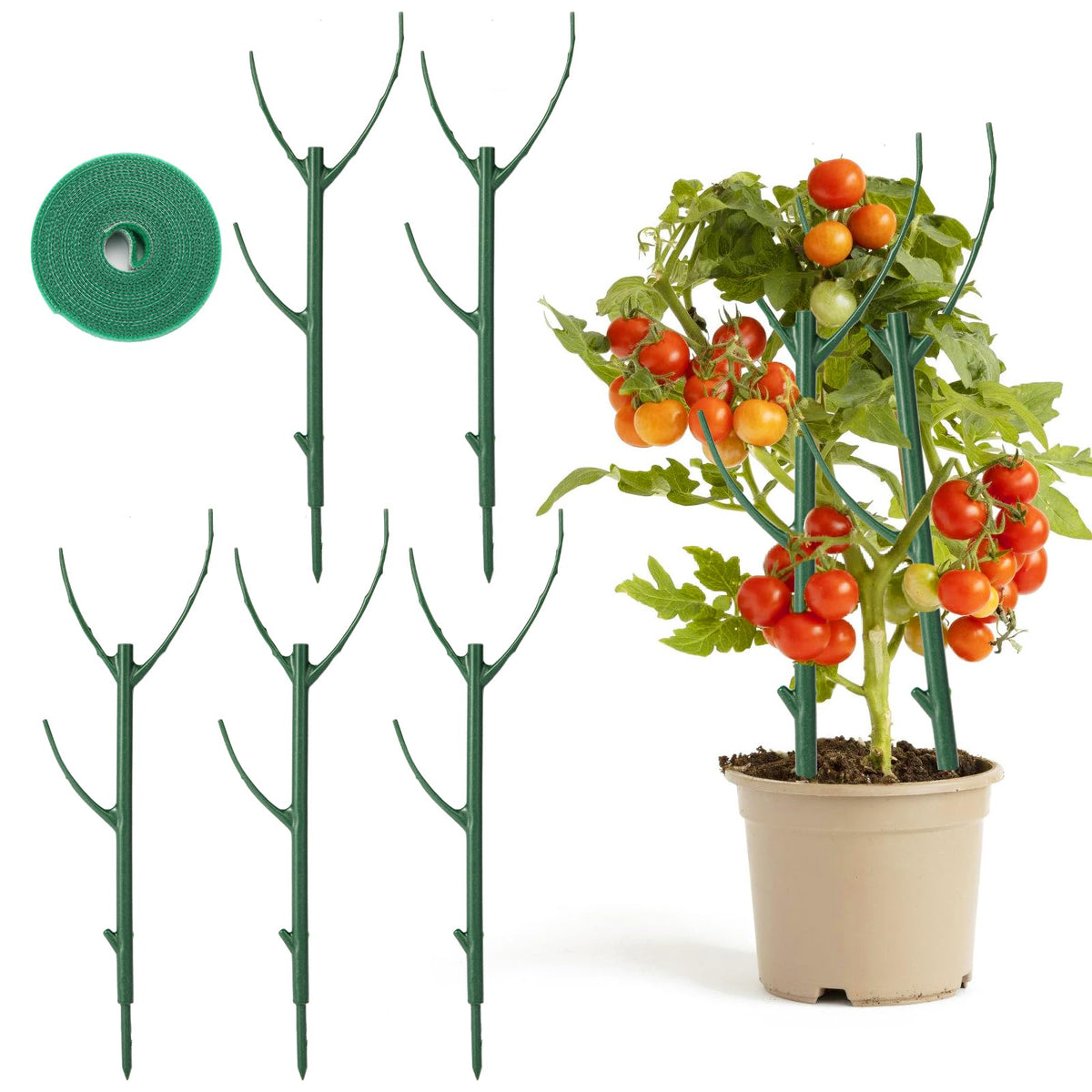 Trzzyan Monstera stackable stake supports vertical growth with discreet durability.