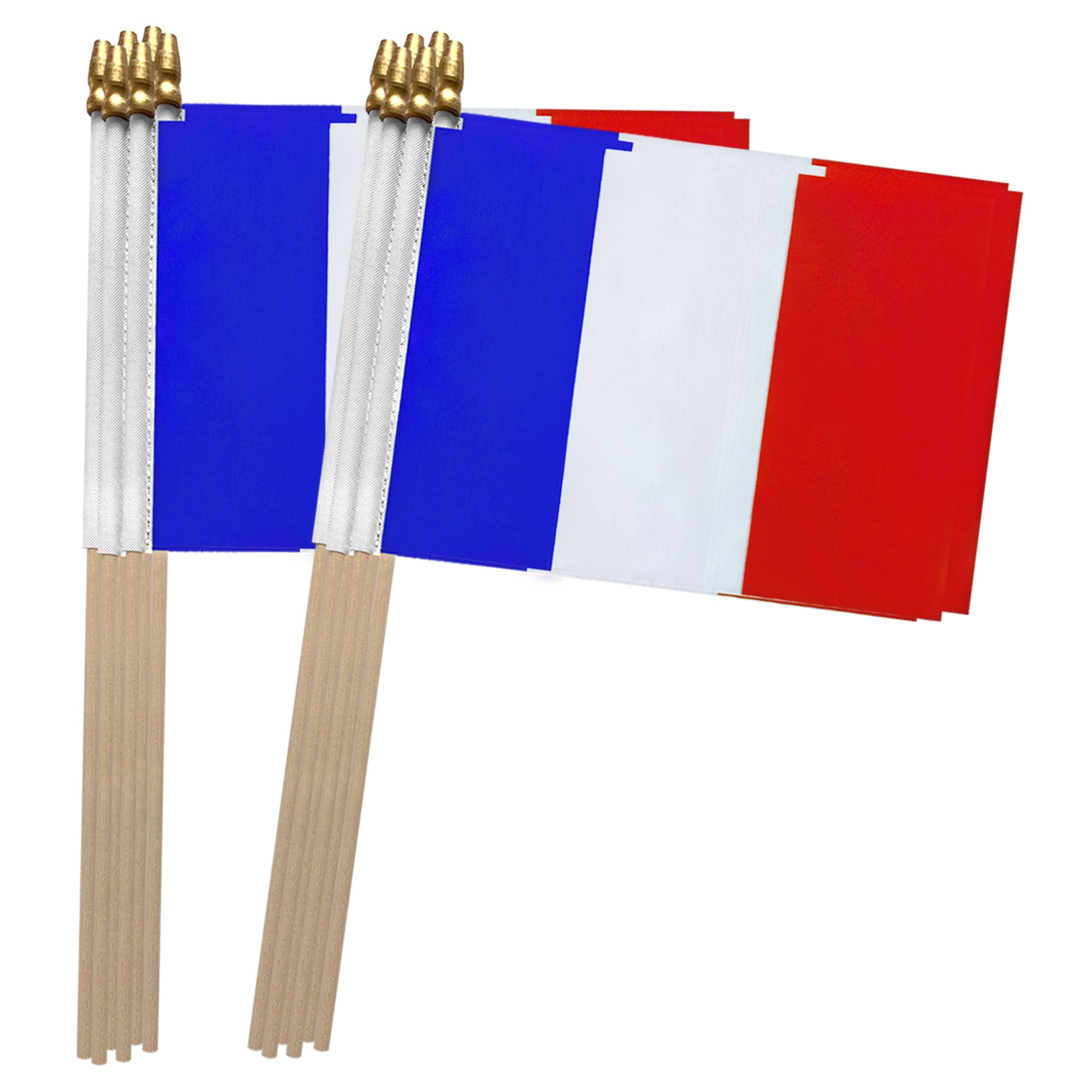 TSMD France flag front view with crisp colors, ideal for parades