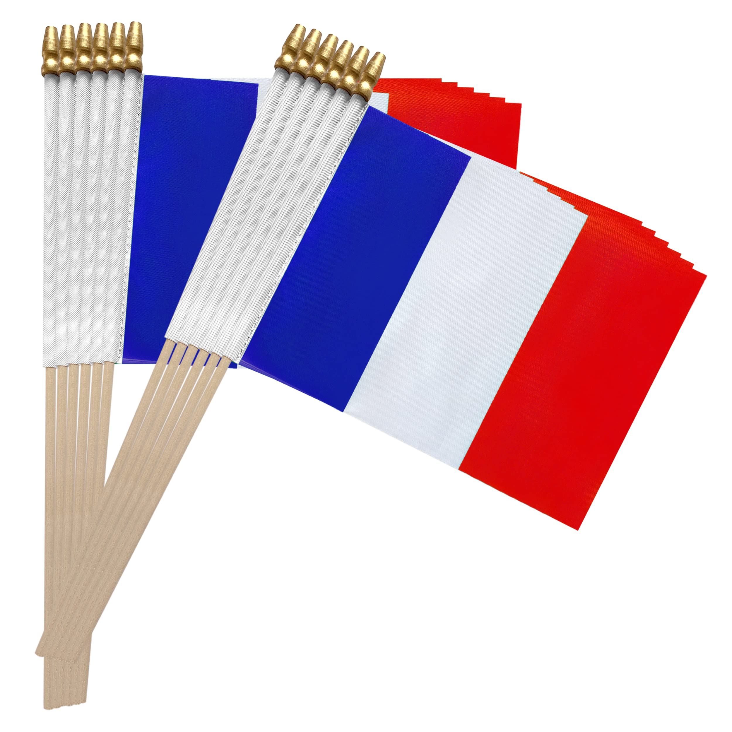 TSMD France flag outdoor garden display with vivid color