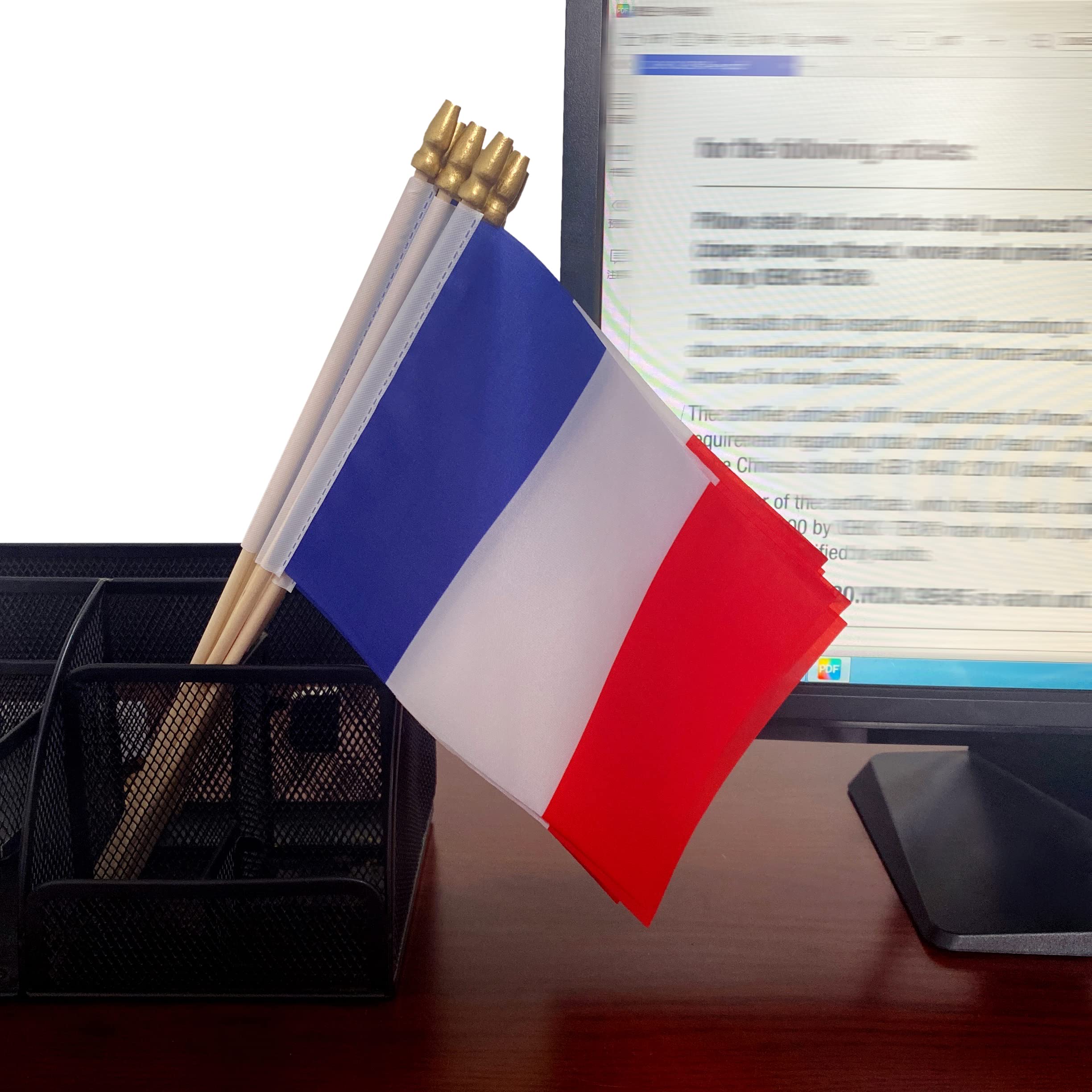 TSMD France flag with rounded top, safe for classroom use