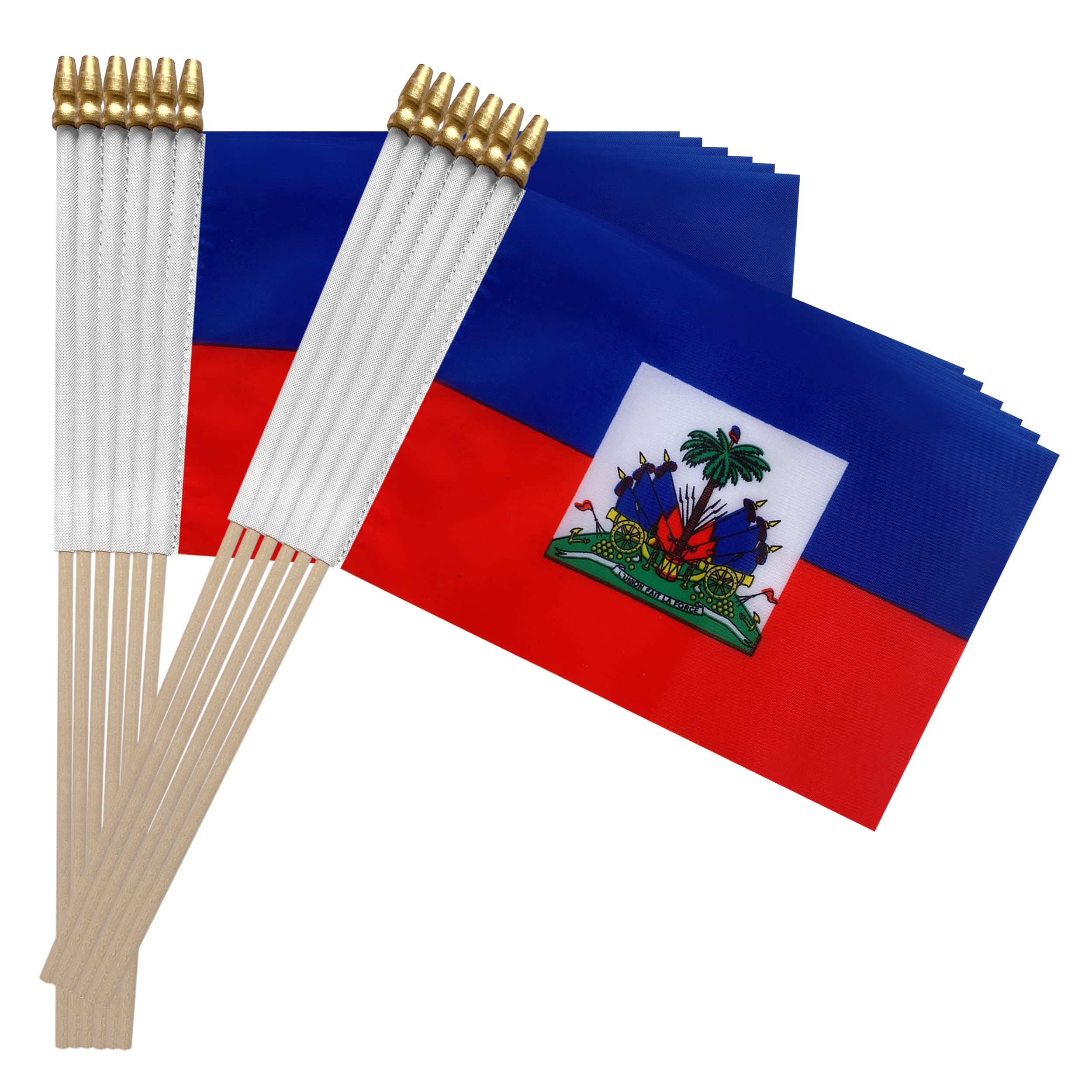 TSMD Haiti flag stick 12-pack in-use at parade creates vibrant ambiance.
