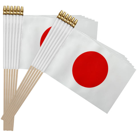 TSMD Japan flag in parade setup with vibrant color